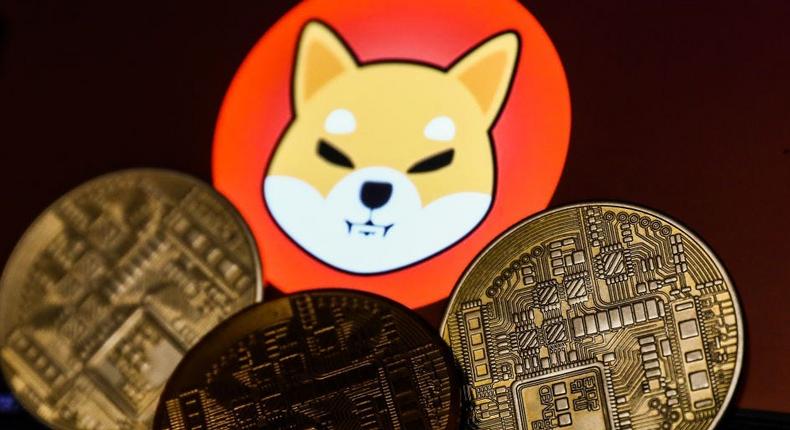 Memecoins are on the rise again as bitcoin trades near all-time highs in 2024.Jakub Porzycki/Getty Images