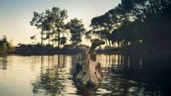 Kultowy serial powrócił w nowej odsłonie. W telewizji i streamingu już dziś