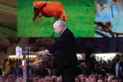 Prezes PiS Jarosław Kaczyński na Zgromadzeniu Wsi Polskiej, grudzień 2022 r.