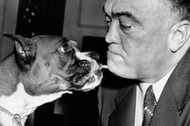 Edgar Hoover ze swoim psem, 1954 r.