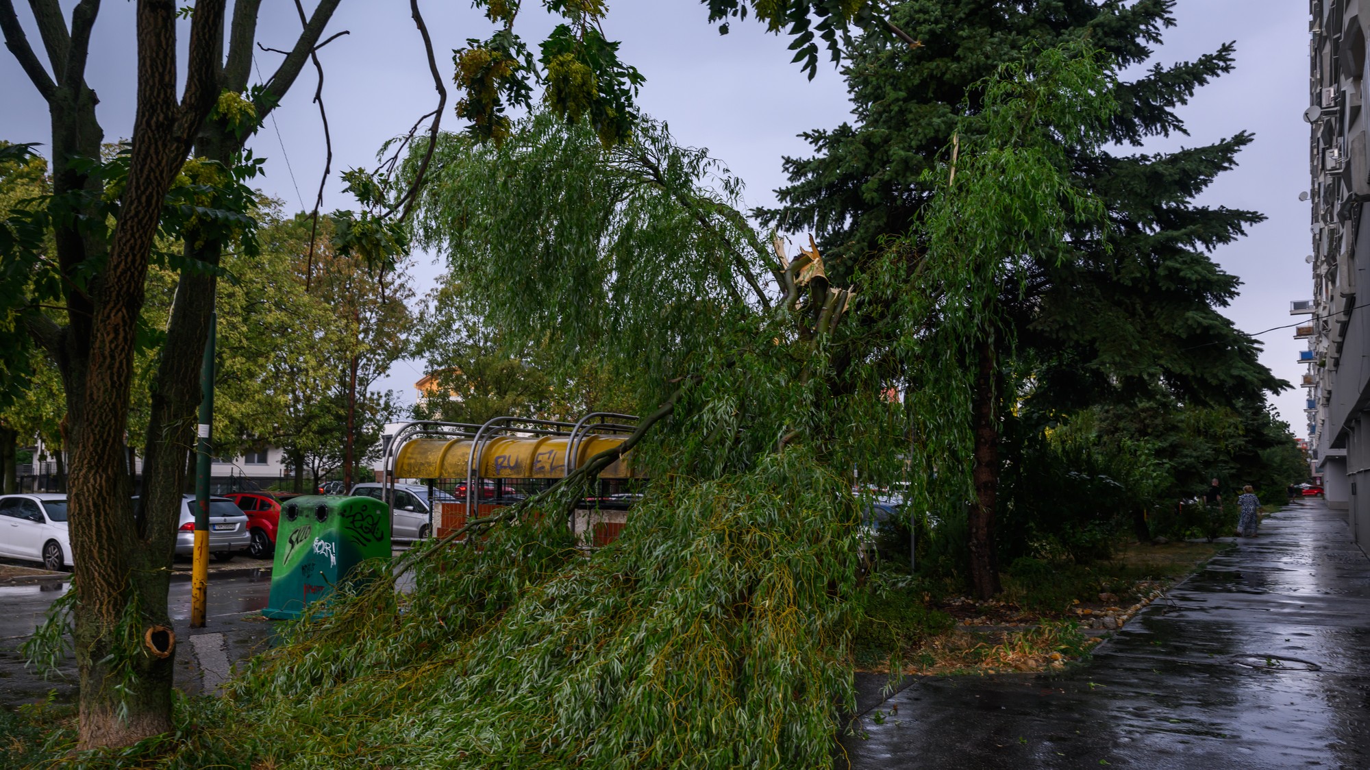 Následky silnej búrky a spadnutý strom v mestskej časti Podunajské Biskupice v Bratislave 20. augusta 2026