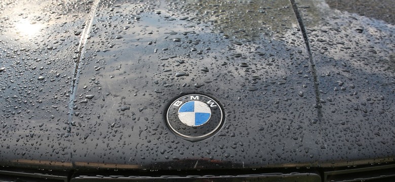 BMW z Polski wypchane... słoniną. Nietypowy przemyt na granicy