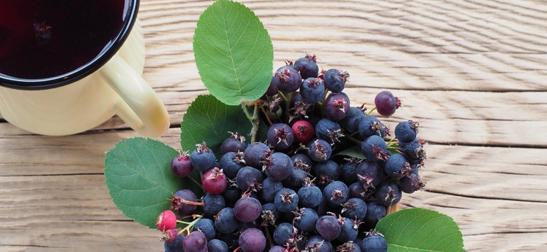 Lubisz borówkę amerykańską? Spróbuj jej następczyni, a nie pożałujesz