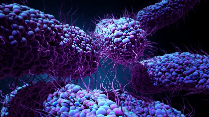 Katasztrofális jövőt jósolnak a rezisztens baktériumok: milyenek lesznek a jövő antibiotikumai?