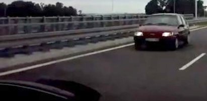 FILM! Cwany gapa jedzie pod prąd autostradą!