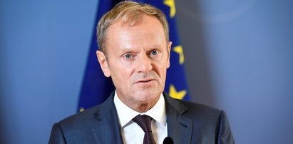 Złe wieści dla PiS. Donald Tusk wróci w wielkim stylu?