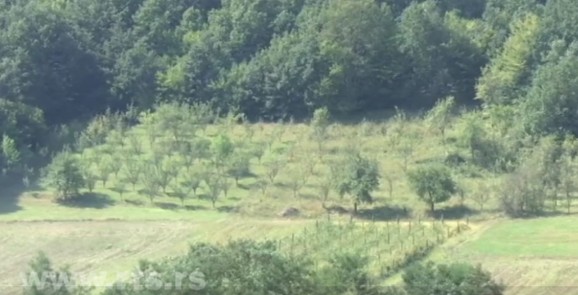 U Gazdarama ove godine sve prerodilo