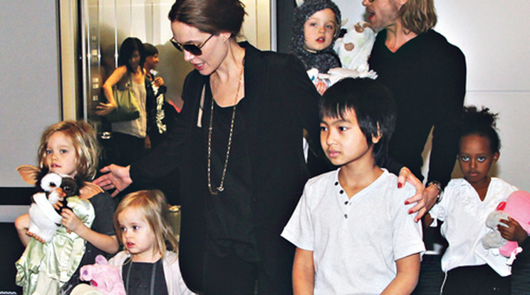 Jolie: Egy jól szervezett cigány család vagyunk