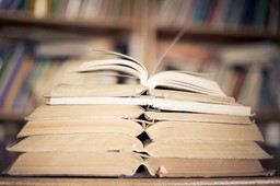 Reforma edukacji: Oto proponowany kanon szkolnych lektur