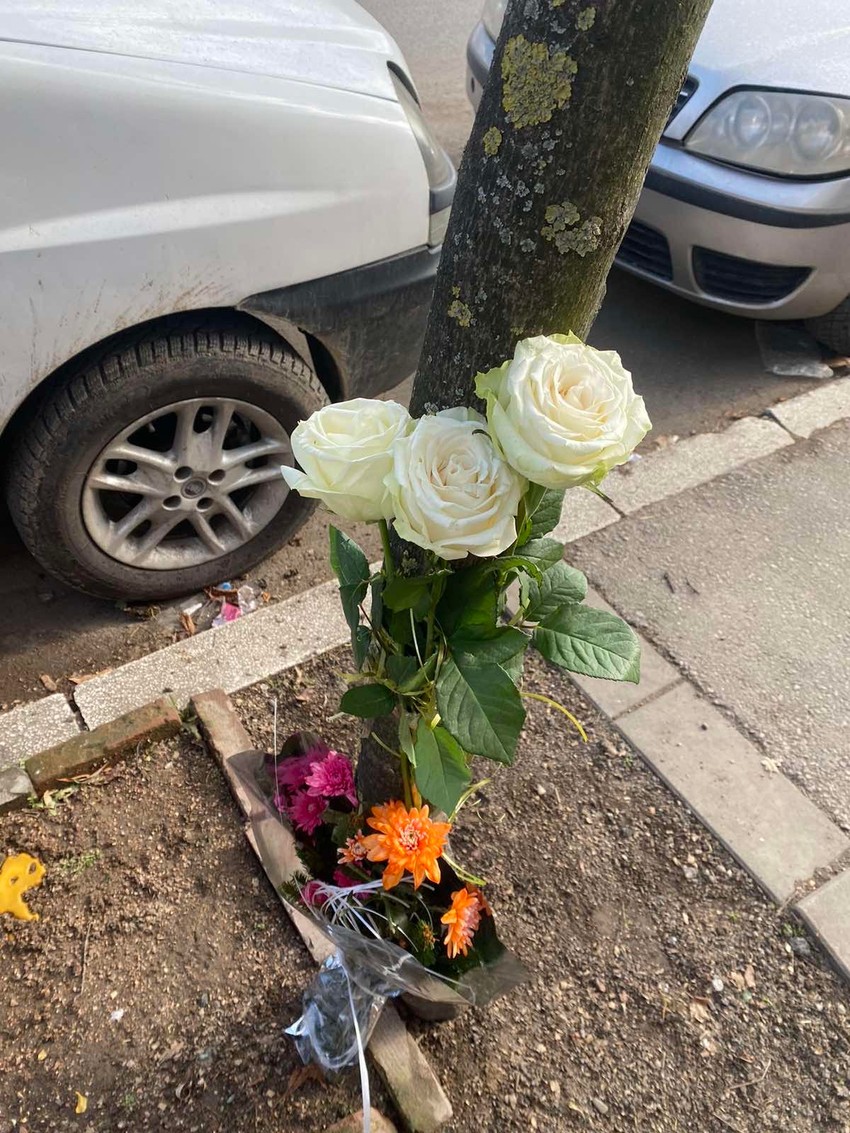 Ubistvo u Velikoj Plani