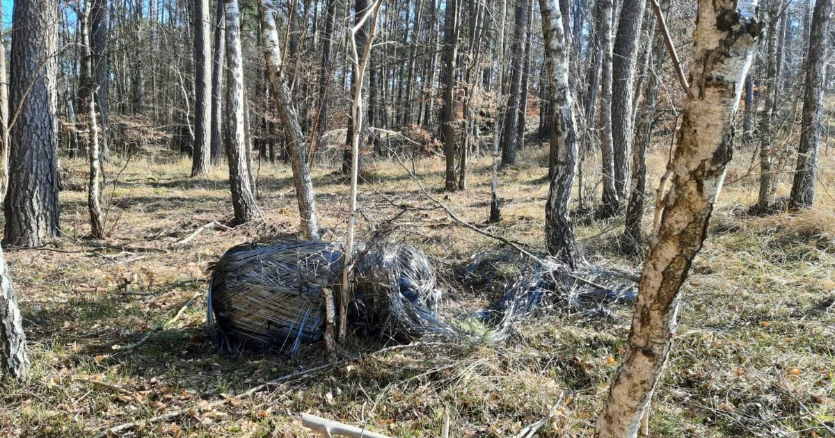 Szczątki rakiety Falcon 9 na terenie Polski. Jest decyzja prokuratury