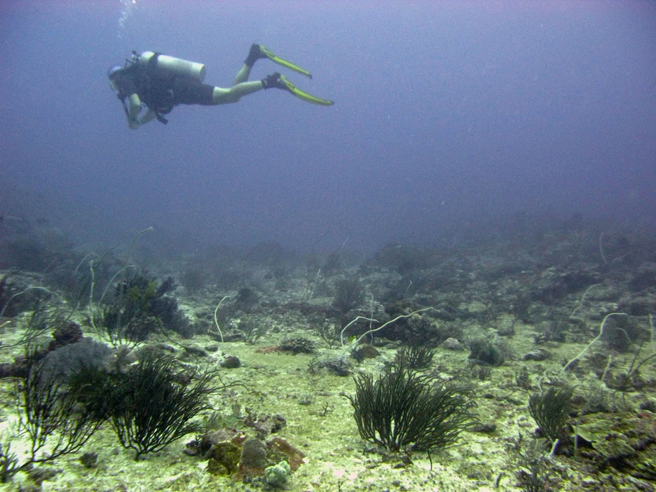 Idealan posao za avanturiste može da donese i do 1000 evra dnevno
