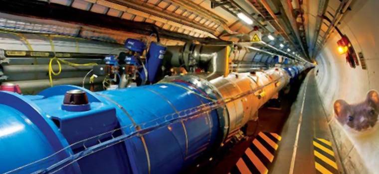 Wielki Zderzacz Hadronów zepsuty przez łasicę