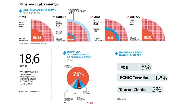 Państwo rządzi energią