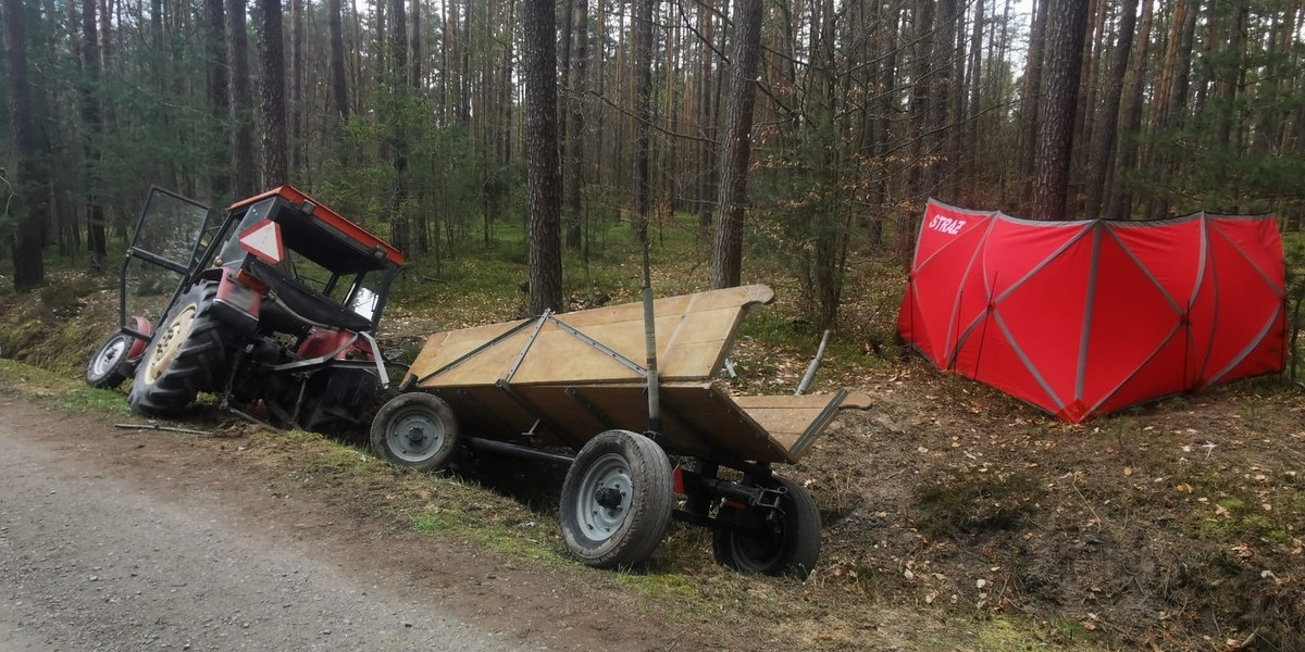 Dramat na leśnej drodze.