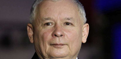 Wieszczą samobójczą śmierć Kaczyńskiego! Horror!