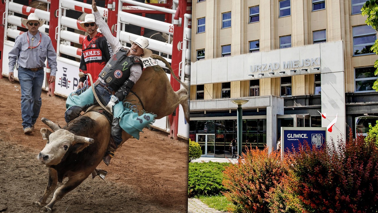 Polskie miasto zakazało rodeo. "Tysiące osób chciało je obejrzeć"