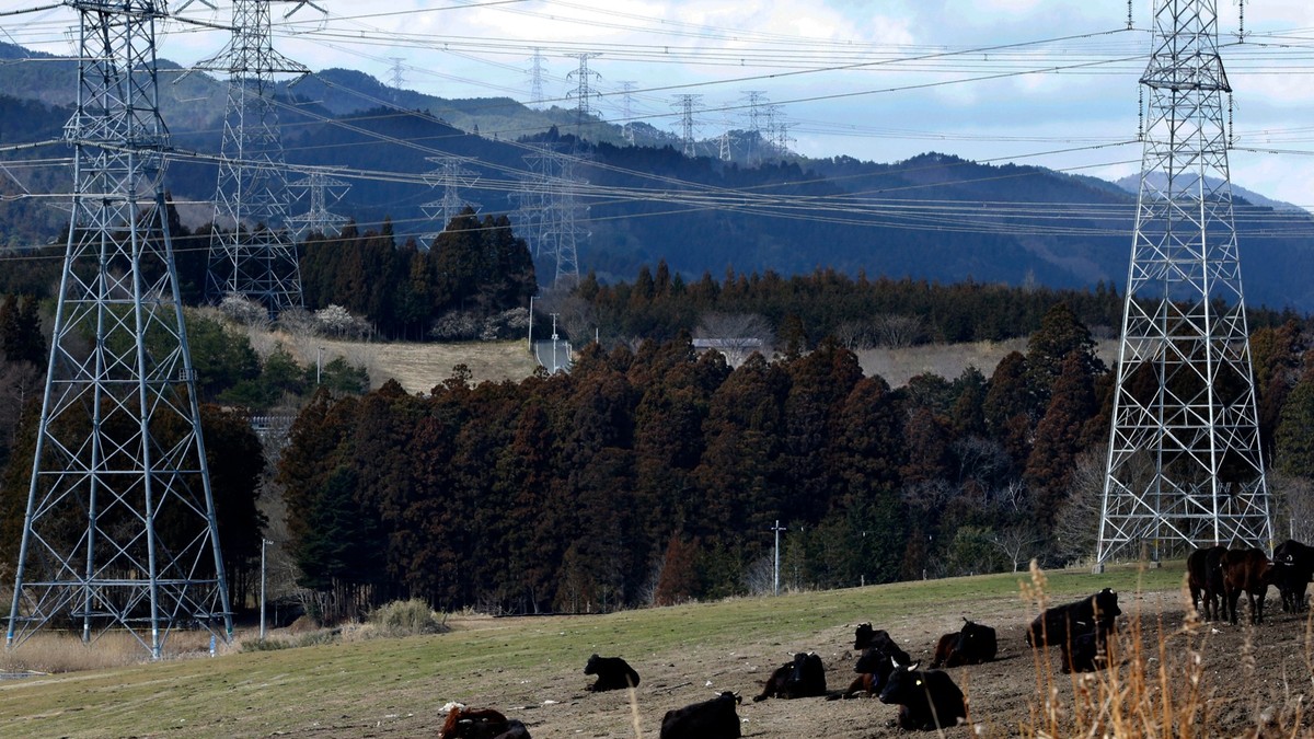 fukusima krave03 foto tanjug ap