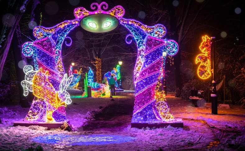 Iluminacje Multidekor Park Miliona Świateł Zabrze