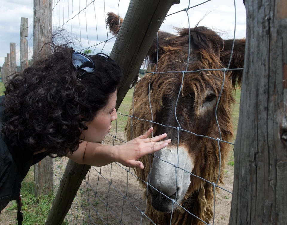 Pięciolecie Zoo Safari