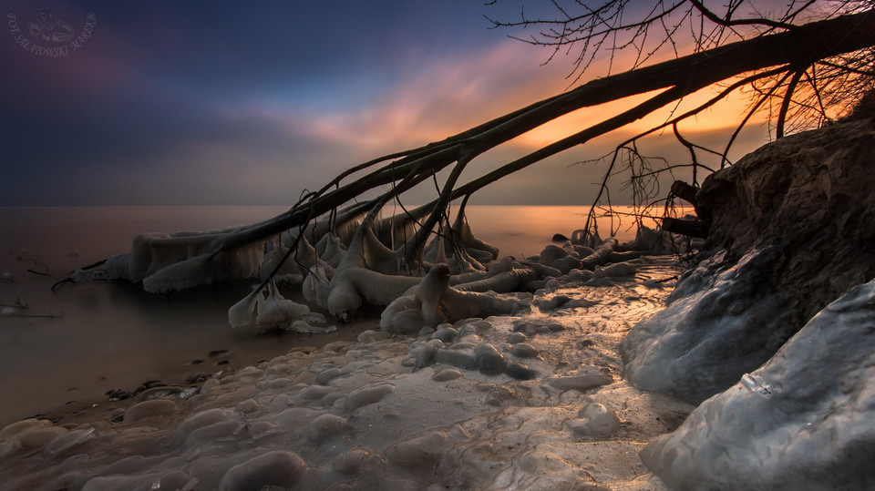 zdjecia gdynia. Marek Sałatowski (11)