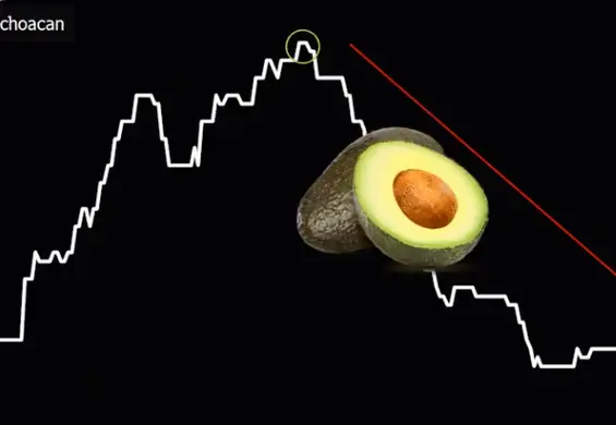 Ceny awokado wariują. "Masło Boga" najtańsze od dawna. Jaki jest tego powód?