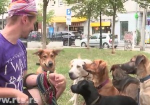 Od učitelja u Vijetnamu do beogradskog šetača pasa
