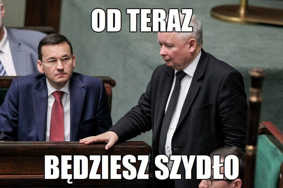 https://ocdn.eu/pulscms-transforms/1/YEOktkqTURBXy9kZDY3YjcyZDAxNzVkOGIzNGIwMDMzOTkzNWMzYzFmMC5qcGVnkpUCzQPAAMLDlQIAzQPAwsM