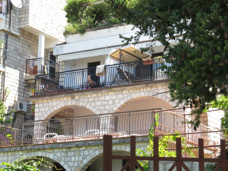 Vila Dragana Džajića