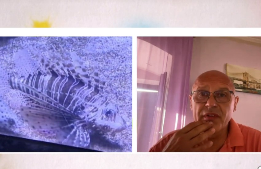 Branislav Jakovljević, ronilac