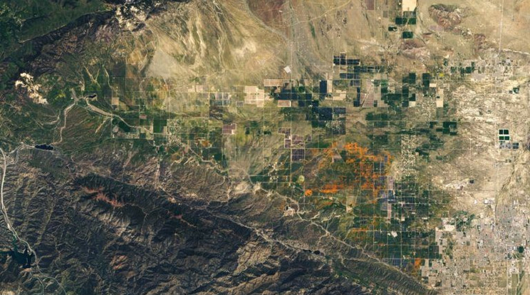 A NASA egyik műholdjának felvételén tisztán láthatóak a narancssárga pipacsmezők. /Fotó:NASA Earth Observatory