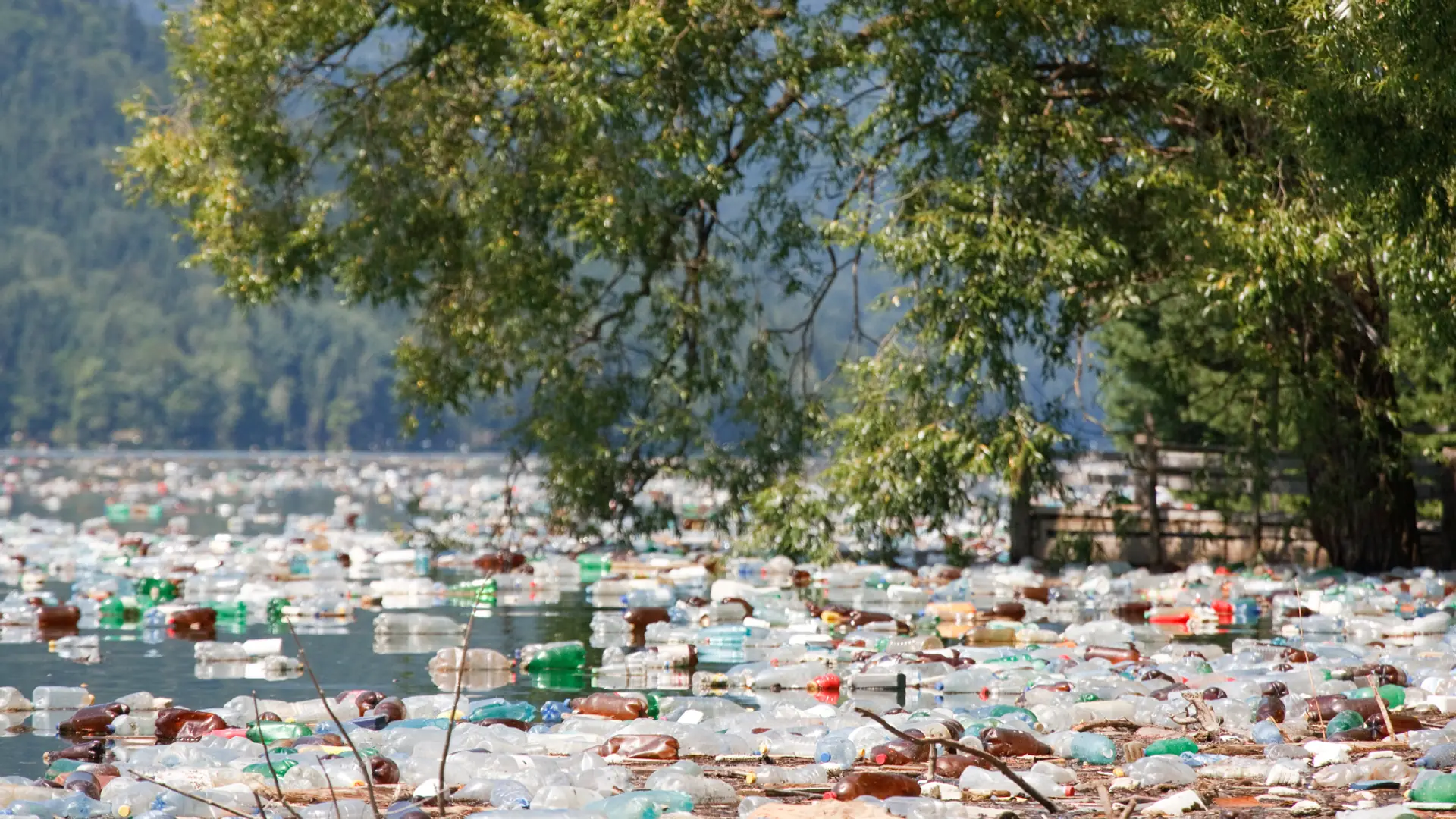 Więcej plastikowych butelek niż ryb w oceanach - taki smutny scenariusz eksperci przewidują do 2050 roku