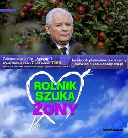 Kaczyński weźmie udział w "Rolnik szuka żony"? MEMY DNIA