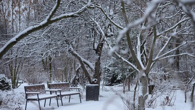 WARSZAWA ZIMA NIEG