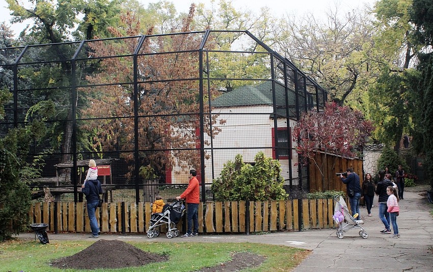 Zoološki vrt na Paliću