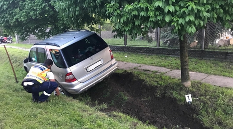 A jármű vezetője a helyszínen életét vesztette /Fotó: police.hu