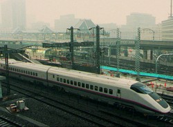 Wąż doprowadził do zatrzymania superszybkiego pociągu