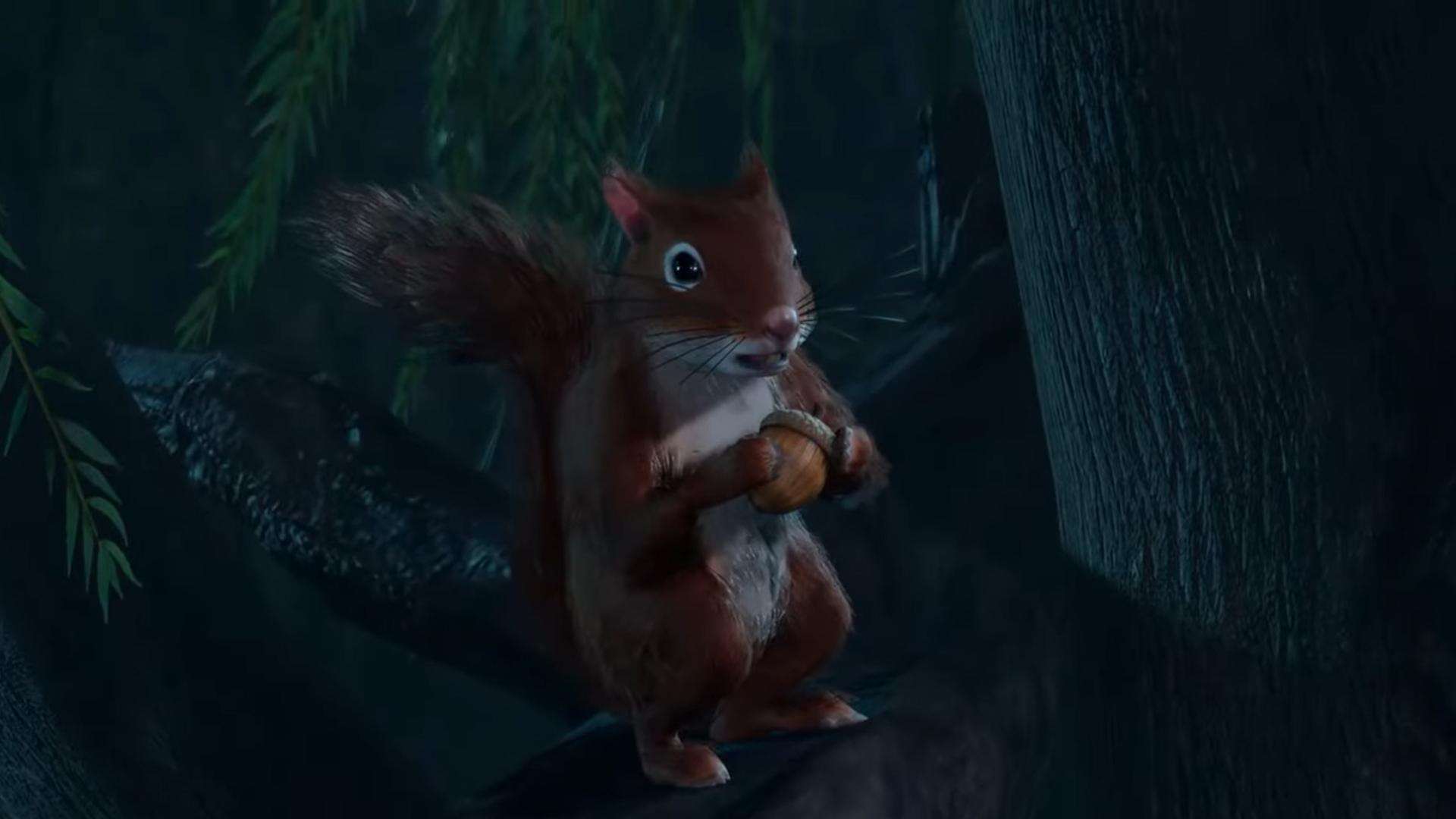 Reakcia veveričky hovorí za všetko.