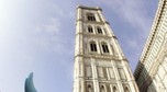 ITALY-SCULPTURE-FLORENCE-COWS