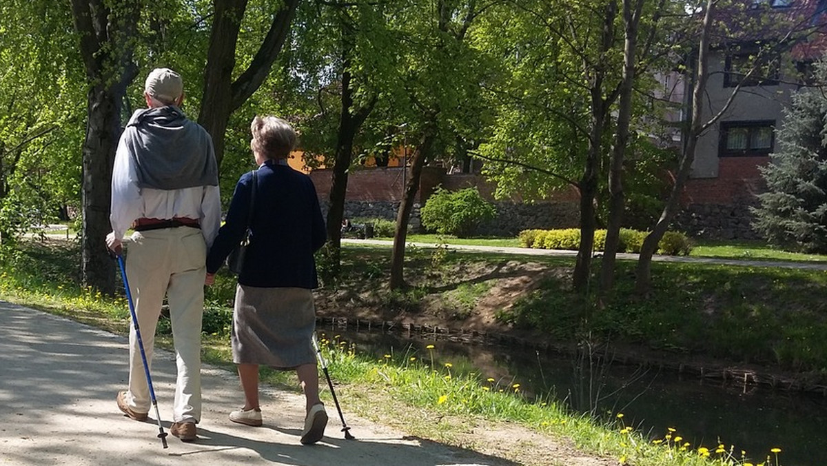 Sprawdzenie, czy placówka działa legalnie - to podstawowy warunek, by osobie starszej zapewnić dobrą, całodobową opiekę - mówiła o tym w Rozmowie Dnia Polskiego Radia PiK Dorota Hass.