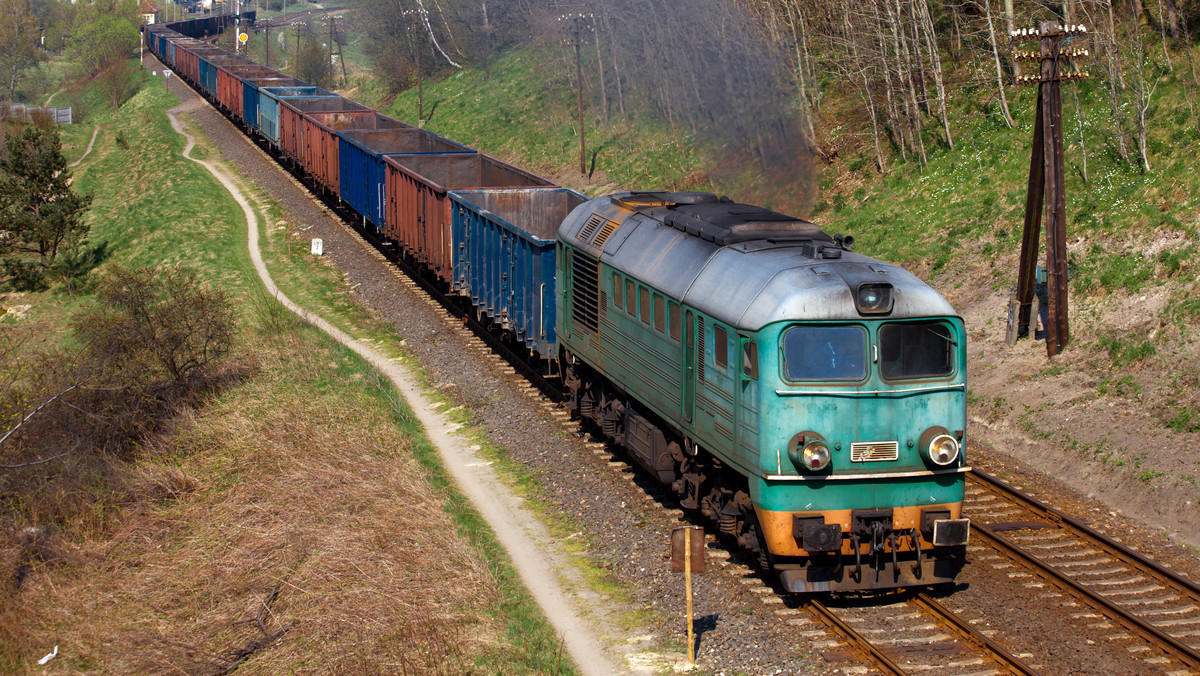 Tragedia w Wielkopolsce. 14-latek zginął pod kołami pociągu, ratując koleżankę