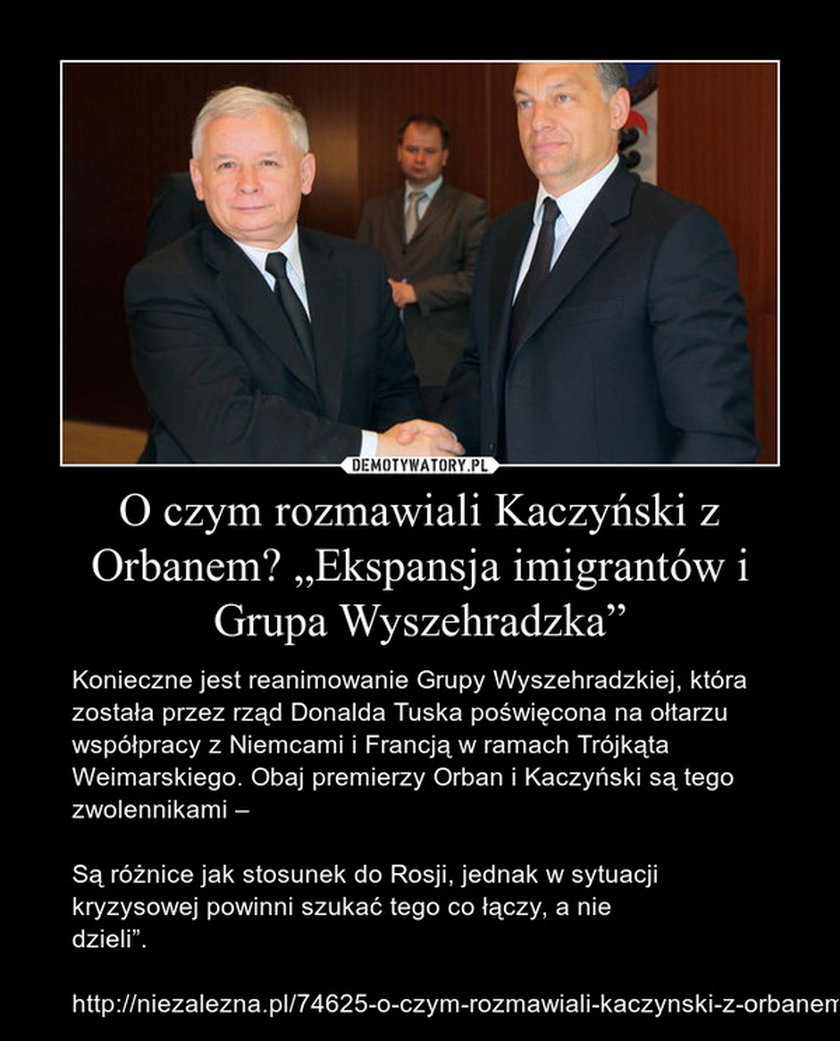 Memy po spotkaniu Orban-Kaczyński