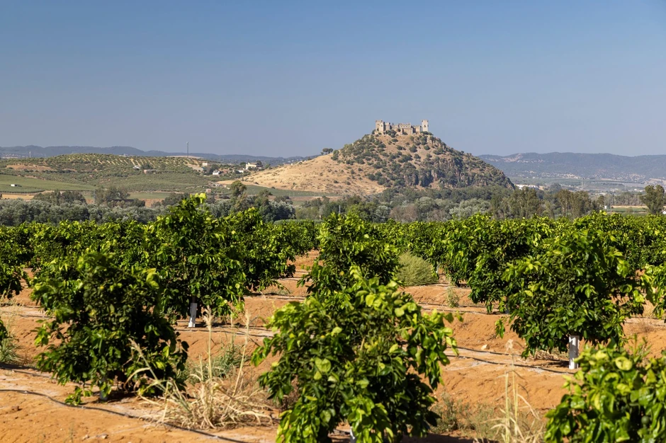 Srednjovekovni dvorac u Andaluziji, Španija