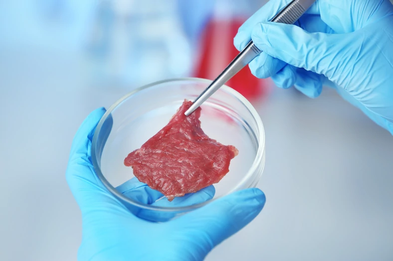 Mięso wyhodowane laboratoryjnie (wizualizacja)