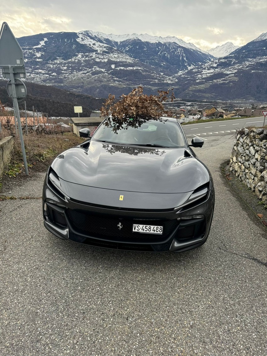 Ljubiša već godinama bira način na koji će otići po Badnjak