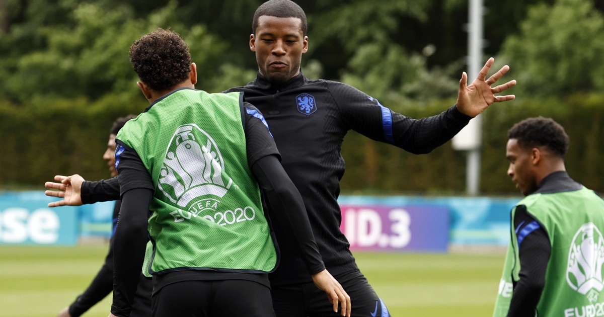 EURO 2020: grupa C. Reprezentacje, terminarz, program, wyniki - Sport
