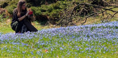 Wiosna! Park Klepacza w Łodzi zasypany kwiatami