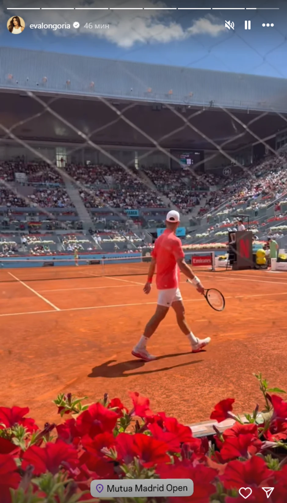 Eva Longorija na Novakovom meču