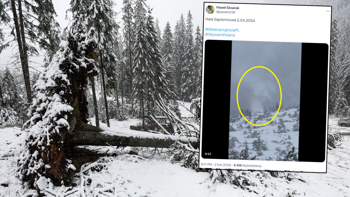 Rzadkie zjawisko w Tatrach. Przy szlaku szalał "śnieżny diabeł" [WIDEO]