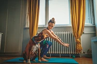 Wdałeś się w awanturę w internecie? Twój pies to wyczuje